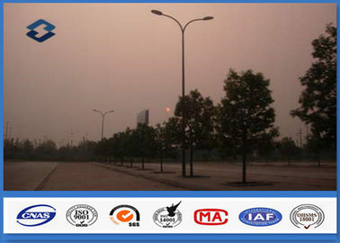 Any Color Polyester Powder Coated parking light pole / commercial light post IP 65 power
