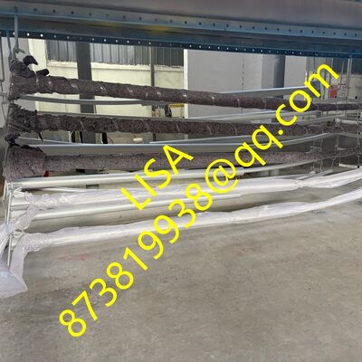 5M Height Hot-dip Galvanized Q235B Steel Lighting Pole for Street Park and Garden