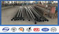 Double Arms Octagonal Road Parking Lot Customized Color Light Steel Poles