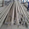 35FT 750KGF Load Power Transmission Line Galvanized Electrical Steel Pole